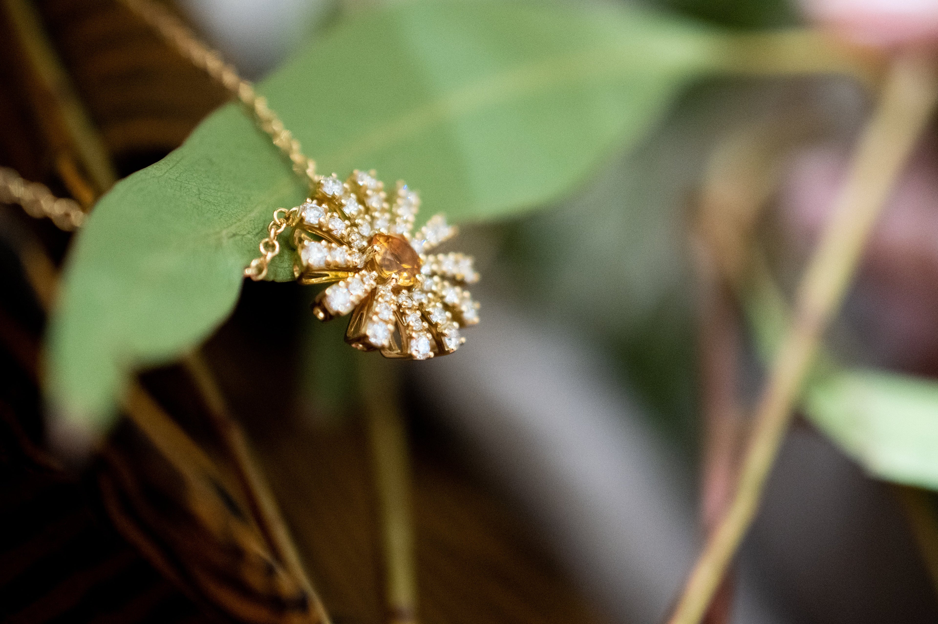 ダミアーニの「マルゲリータ」のモデルはヒナギクの花？可憐なシリーズのモチーフや人気の理由を解説！