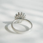 20072753商品写真
