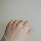 RI0490WGDI着画4