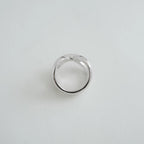 RI1321SI商品写真