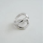 RI1321SI商品写真