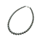 Pearl パール ラグーン ネックレス 8.0mm～10.8mm SS62550