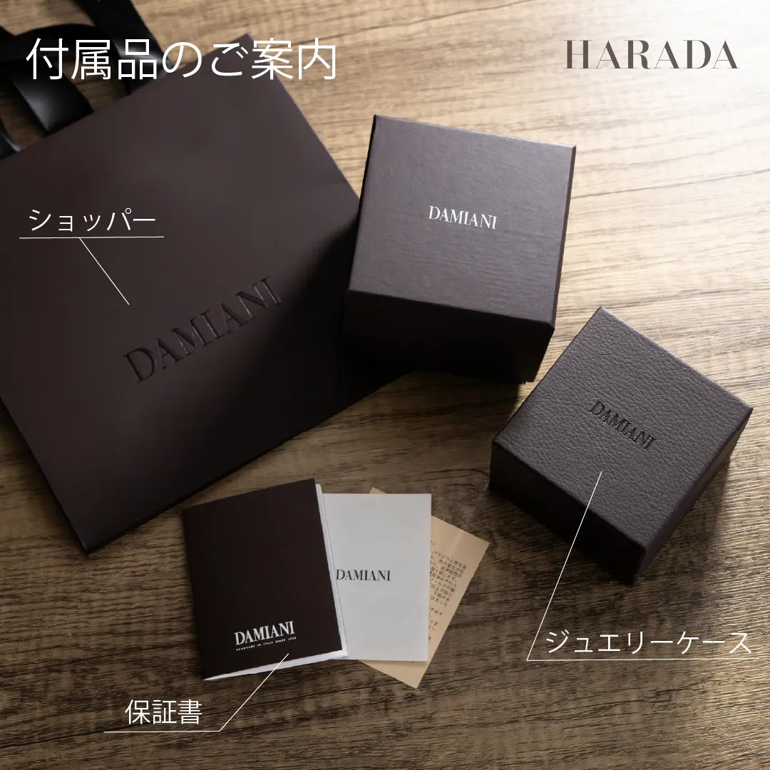 ダミアーニ 指輪 付属品案内カード